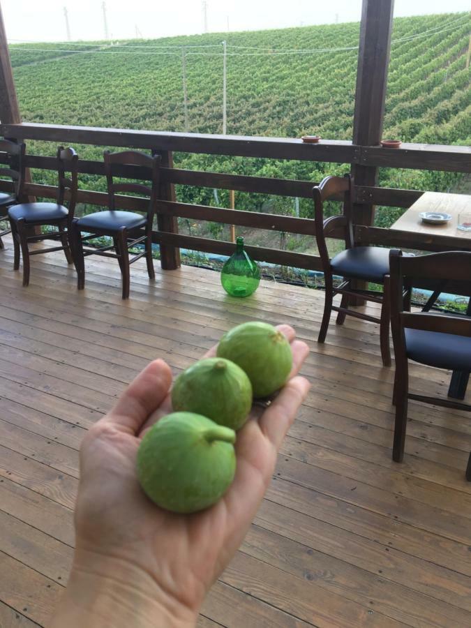 Agriturismo Tenuta Lagala Venosa Luaran gambar